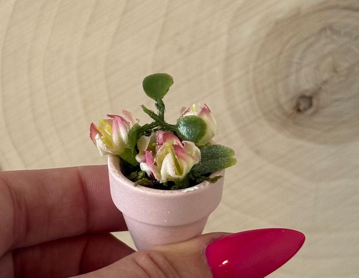 Miniature Flower Plant pots