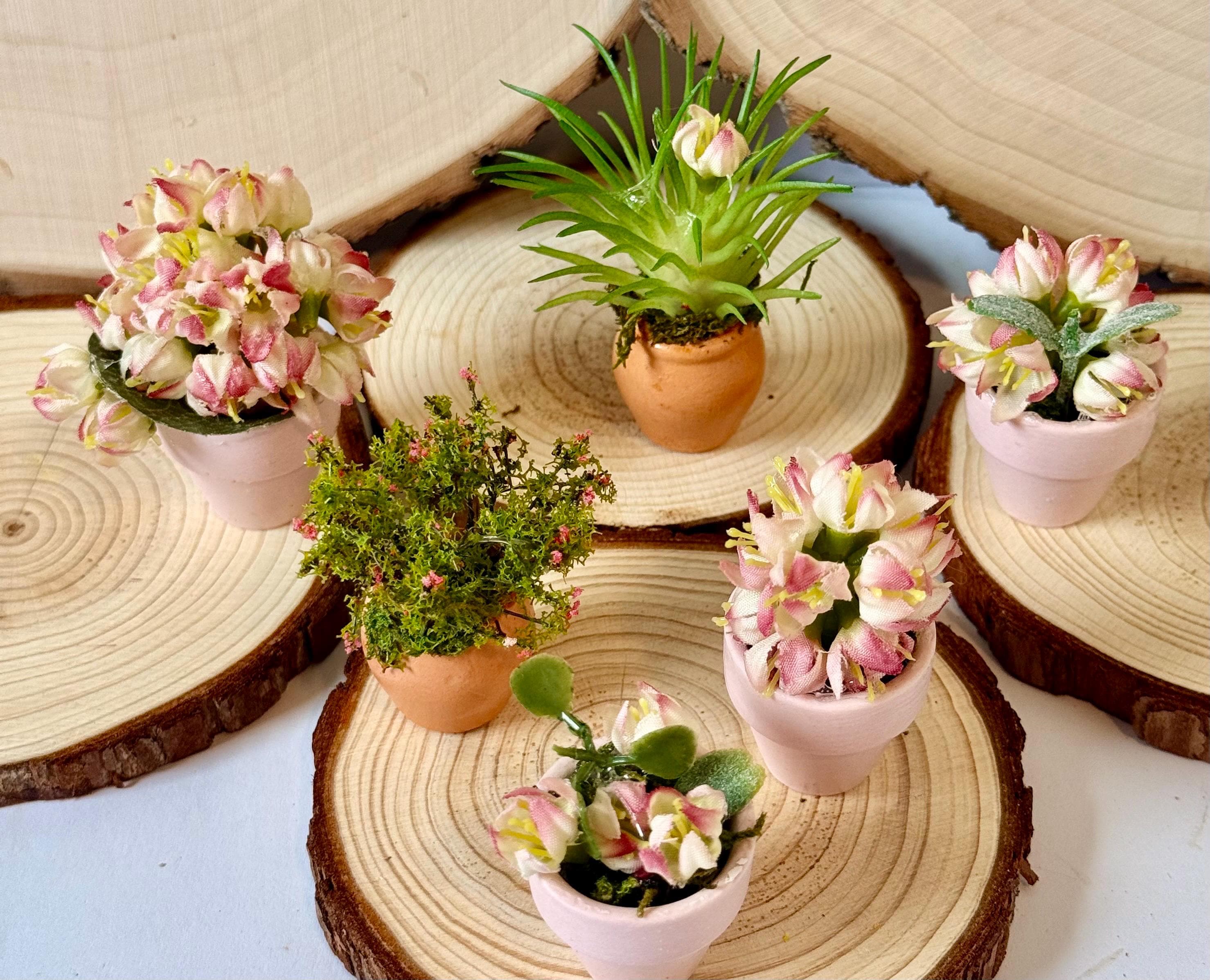 Miniature Flower Plant pots