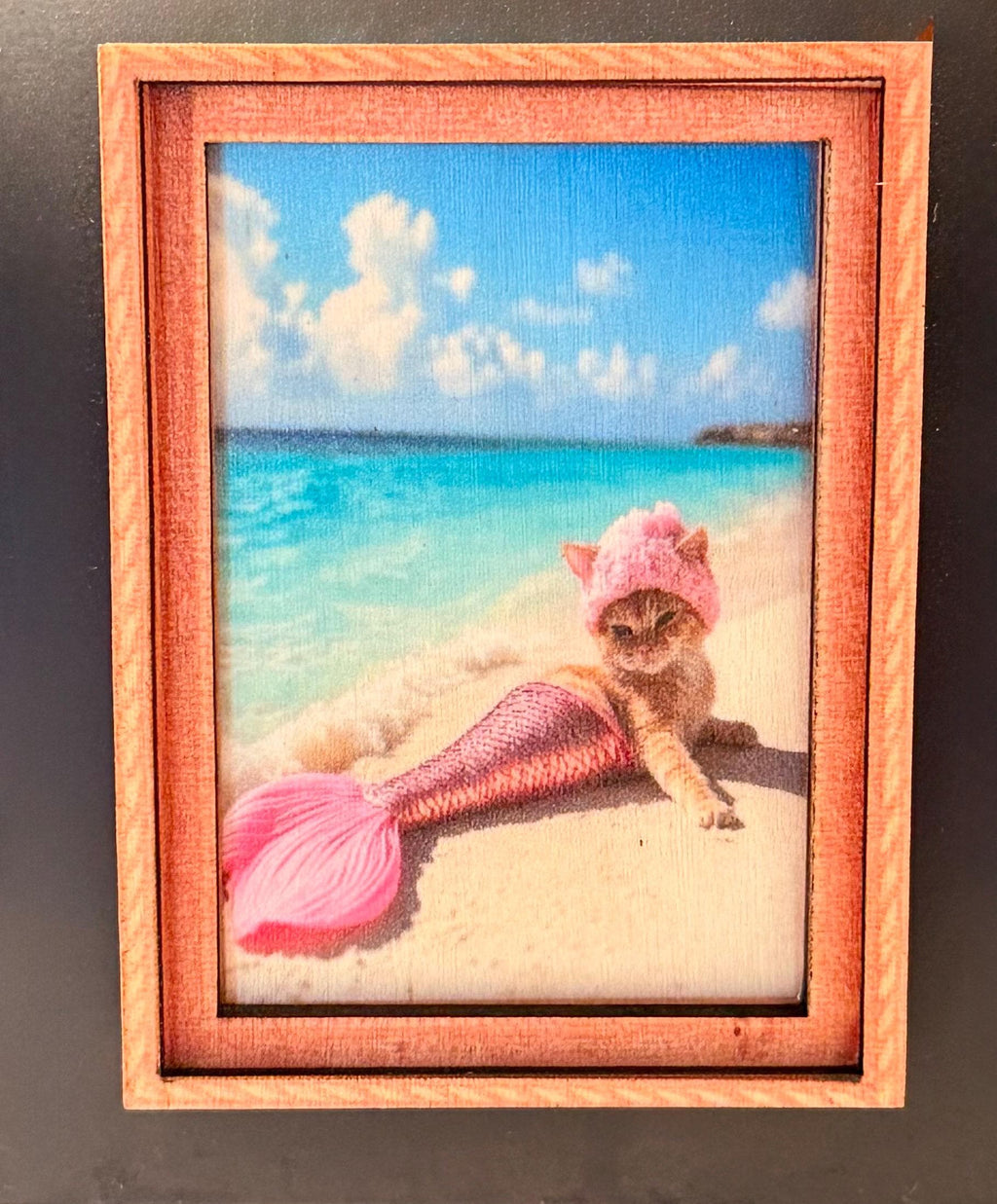 Decorative art framed cat fridge magnets-mermaid cat